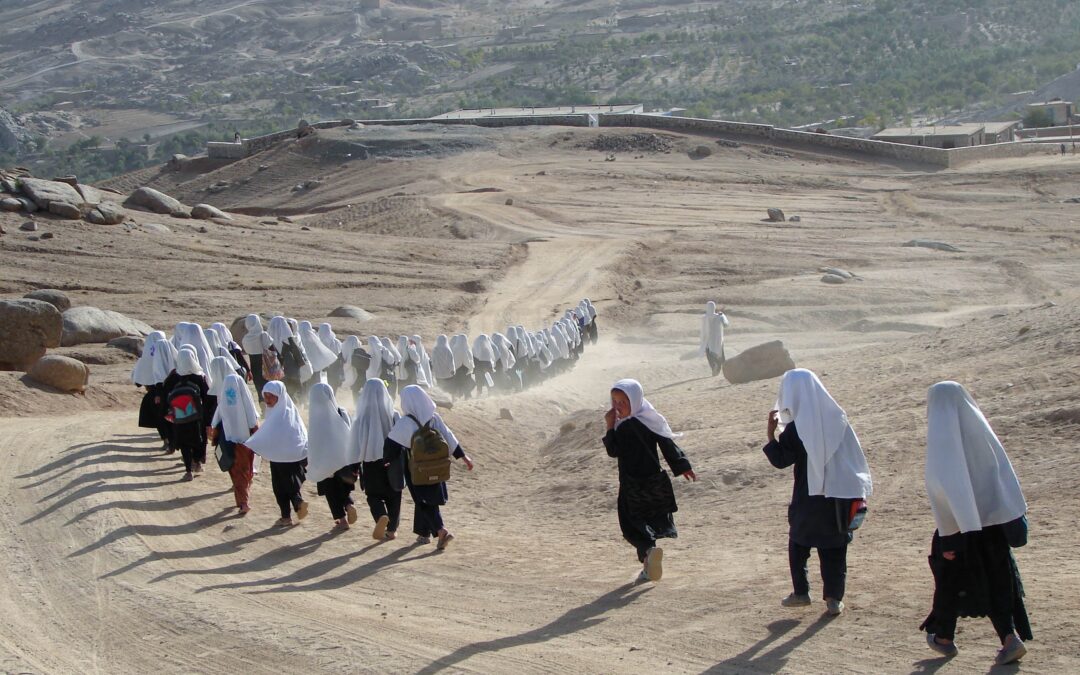How Your Support is Changing Lives Through Education